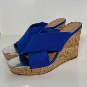 Charles by Charles David Blue Cork Wedge High Heels Size 7.5
